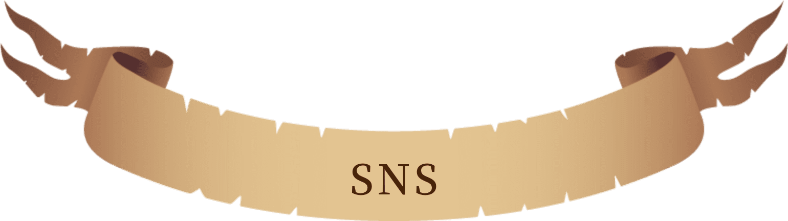 SNS